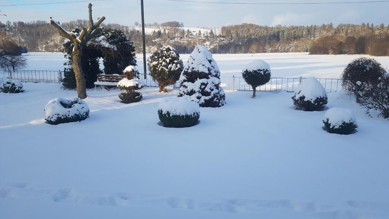 Haus Mari Διαμέρισμα Niederwiesa Εξωτερικό φωτογραφία